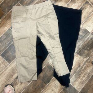Ann Taylor Pants Lot - Size 14 Tan and Navy